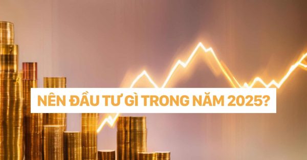 dr christina nguyễn NÊN ĐẦU TƯ GÌ TRONG NĂM 2025